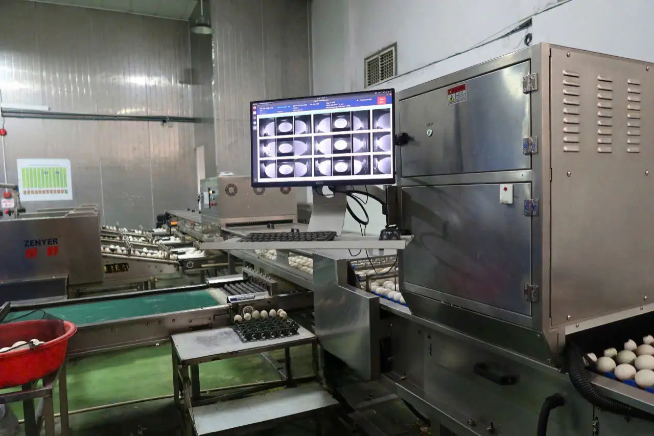 may-phan-loai-ai-minh-duc-2025