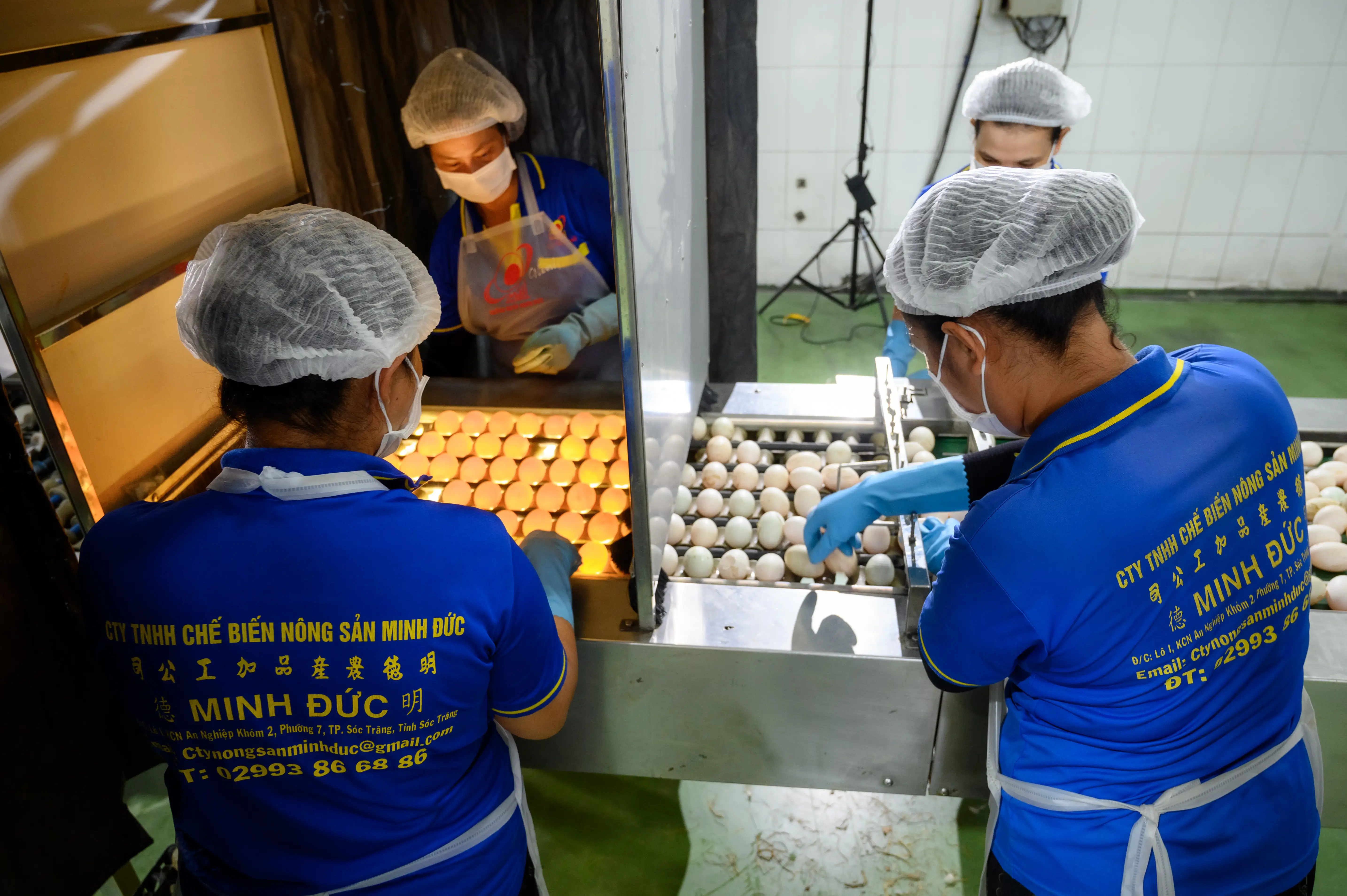 phan-loai-minh-duc-nam-2018