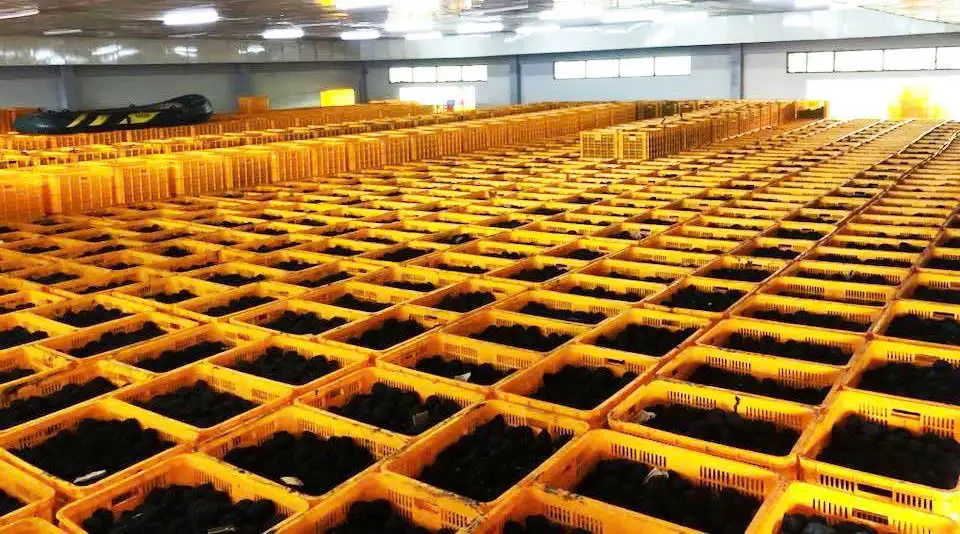 cong-ty-minh-duc-2016