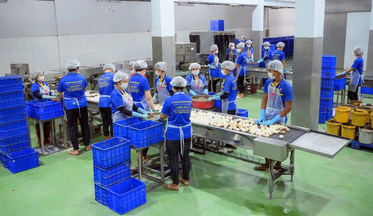 muoi-trung-minh-duc-nam-2018