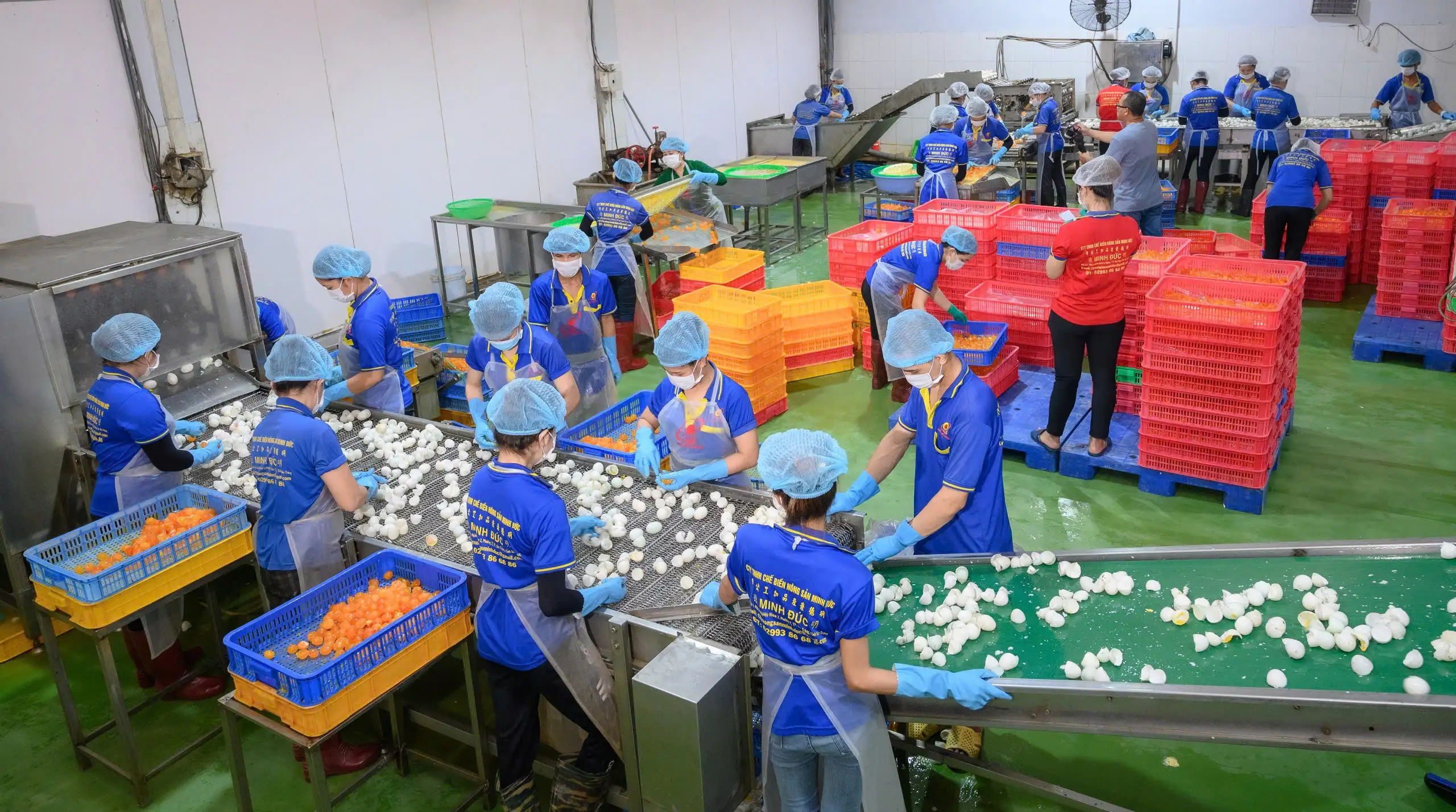 dap-trung-minh-duc-nam-2018